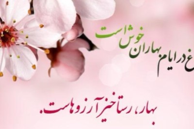 فروشگاه مصالح ساختمانی تاینیز