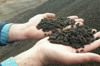 پوکه معدنی قروه سنندج ، بادامی ، عدسی ، نخودی(سال 2025)